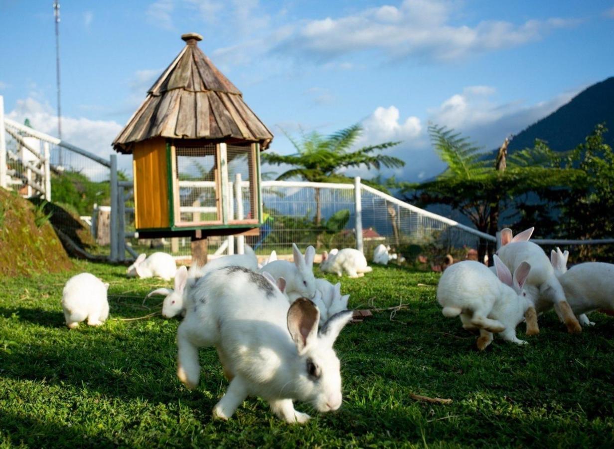 O Chau Homestay Lào Cai Eksteriør bilde