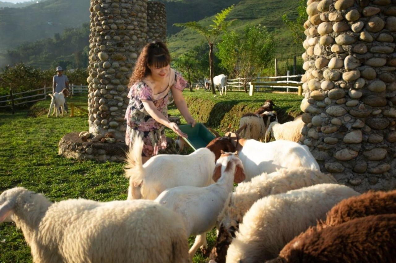 O Chau Homestay Lào Cai Eksteriør bilde