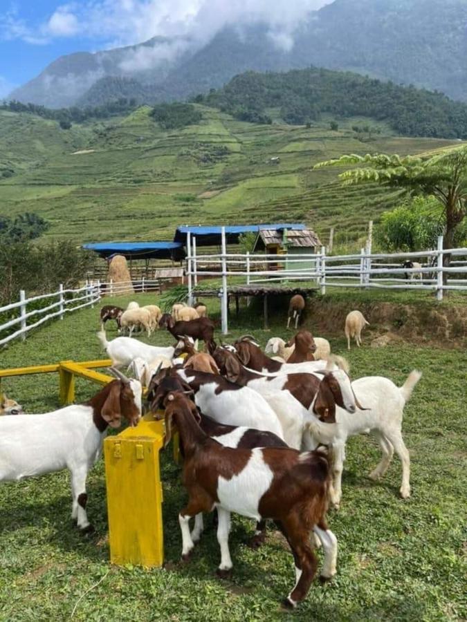O Chau Homestay Lào Cai Eksteriør bilde
