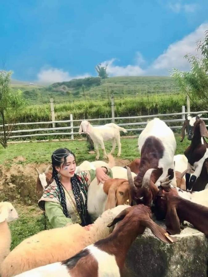 O Chau Homestay Lào Cai Eksteriør bilde